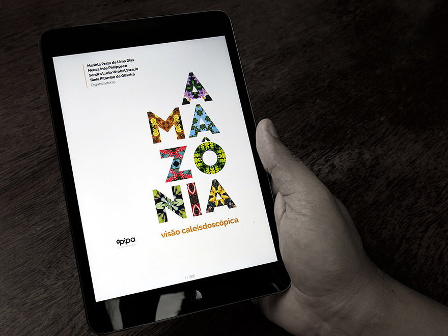 Amazônia: visão caleidoscópica