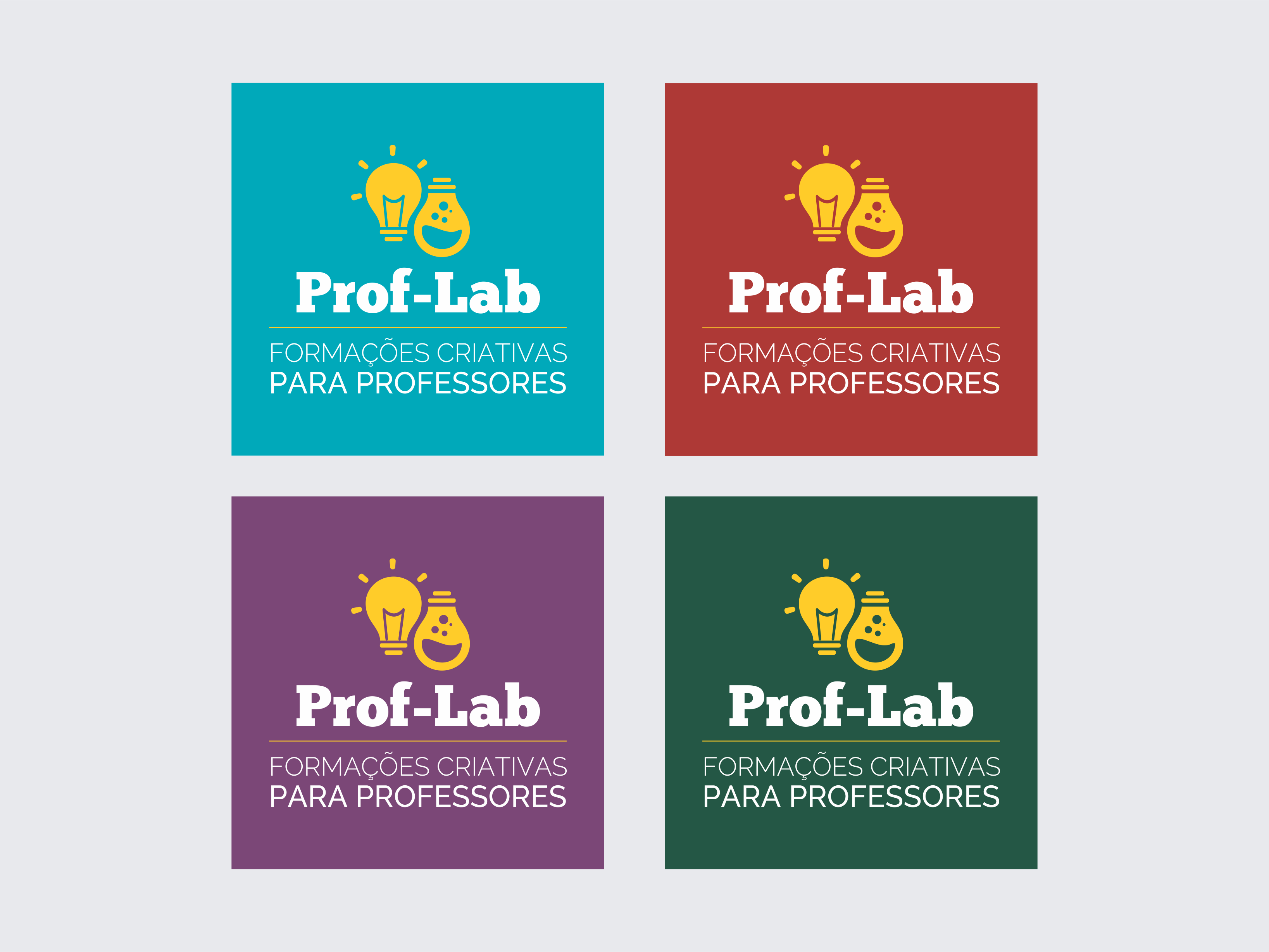 Programa Prof-Lab